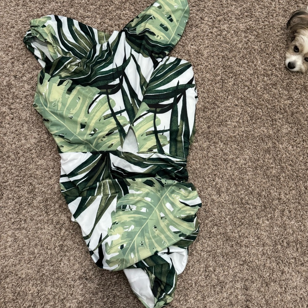 Lane Bryant swimsuit.
